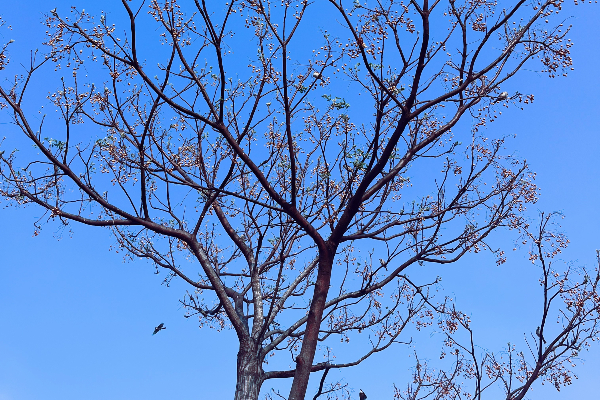 三、四月活動電子報