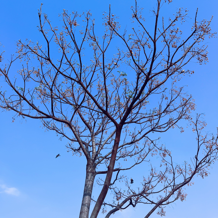 三、四月活動電子報