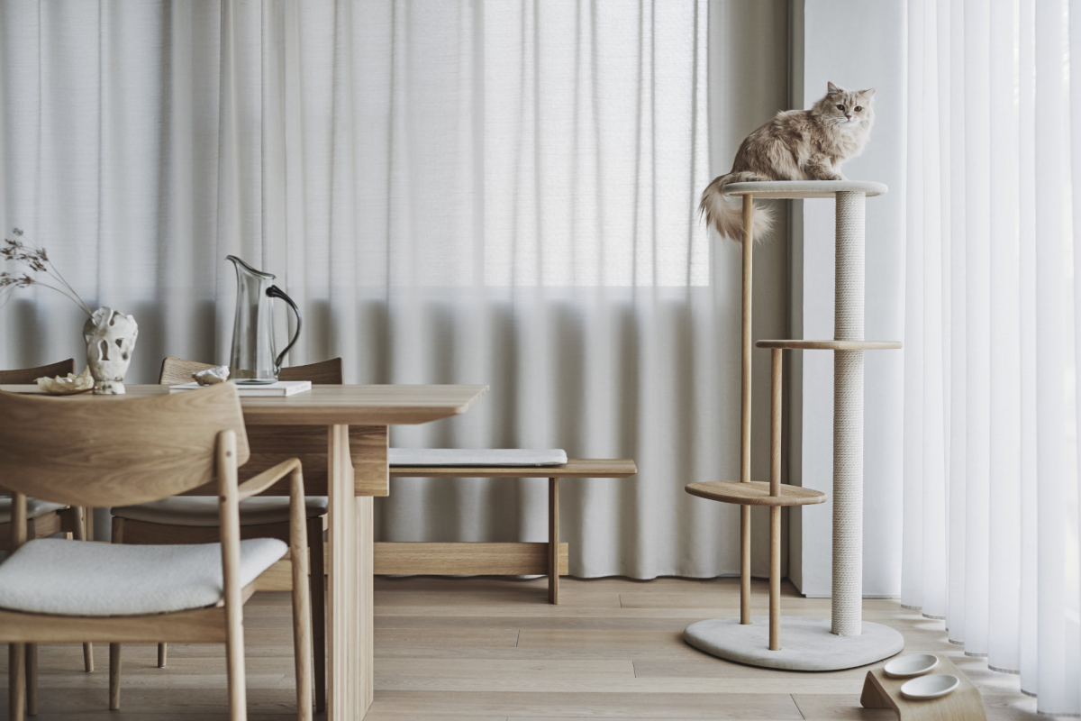日本 KARIMOKU CAT 貓用家具入駐