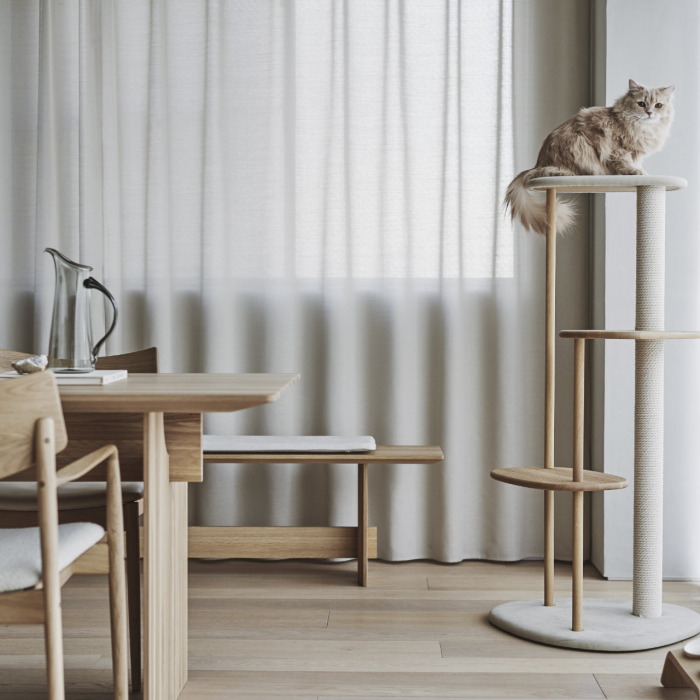 日本 KARIMOKU CAT 貓用家具入駐