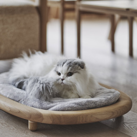 KARIMOKU CAT BED 貓床