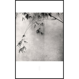 張志輝 風景黑白攝影作品