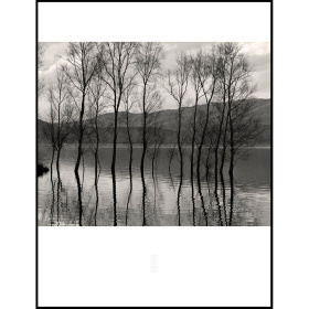 張志輝 風景黑白攝影作品