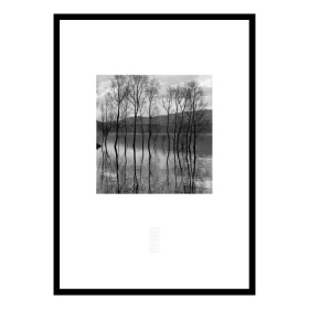 張志輝黑白風景攝影作品No.B05 會澤溼地