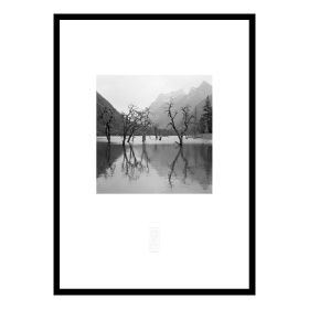 張志輝黑白風景攝影作品No.B06 雙橋溝