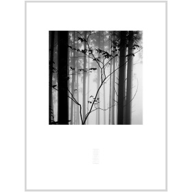 張志輝黑白風景攝影作品No.03