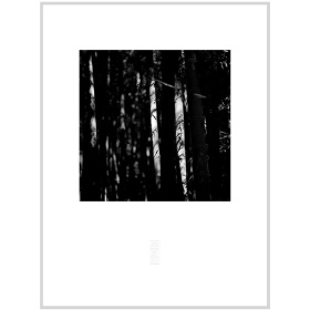 張志輝黑白風景攝影作品No.07