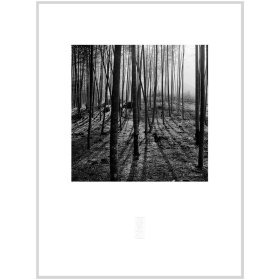 張志輝黑白風景攝影作品No.08