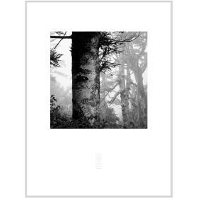 張志輝黑白風景攝影作品No.09