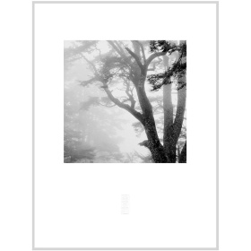 張志輝黑白風景攝影作品No.10