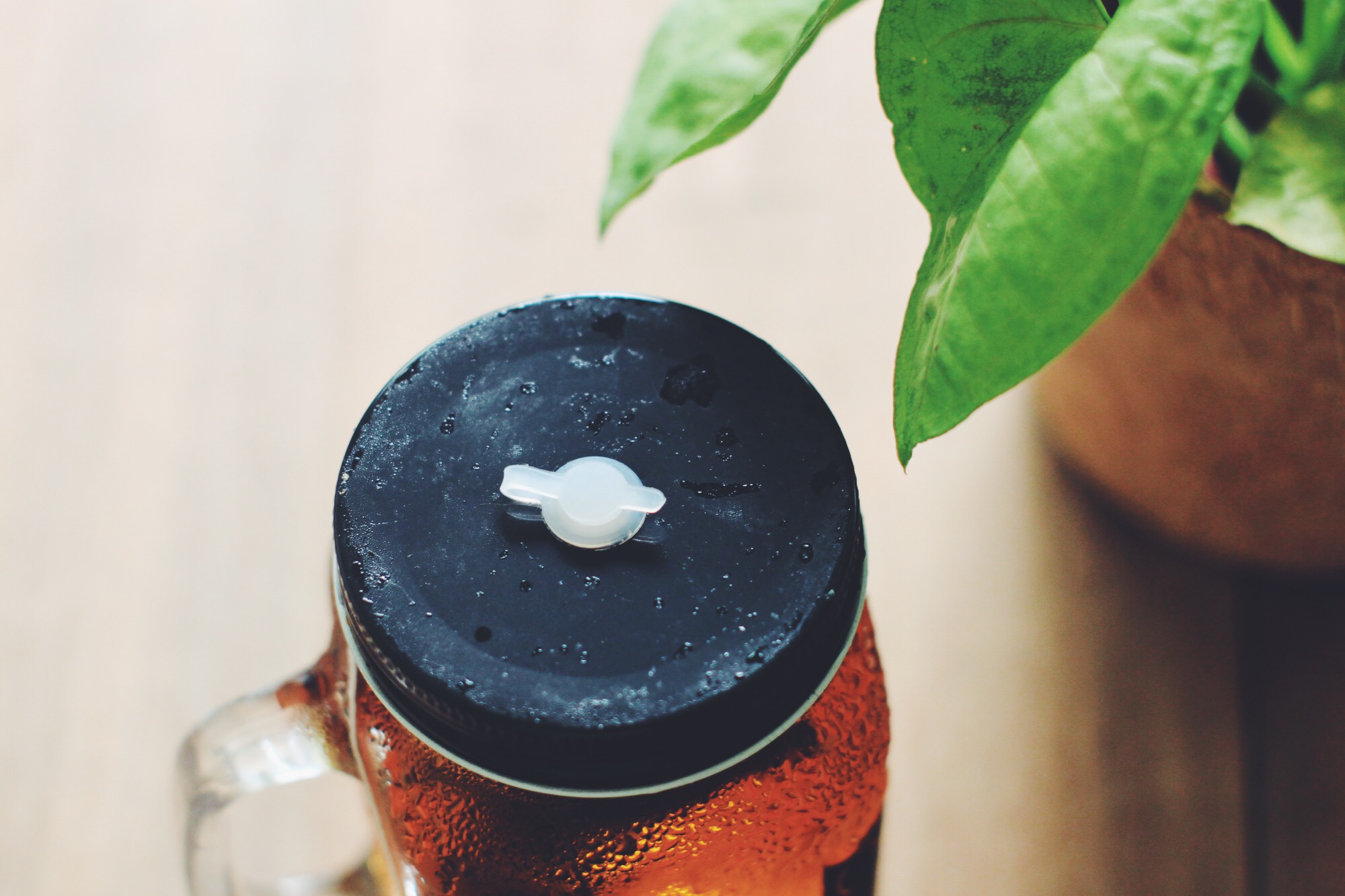 家好茶 冷泡茶杯