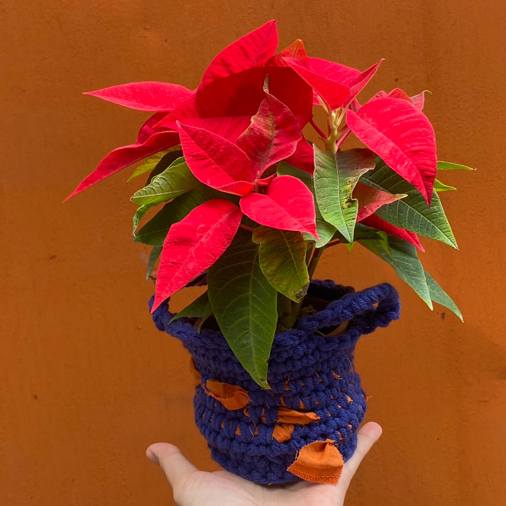 為盆栽鉤織一件新衣