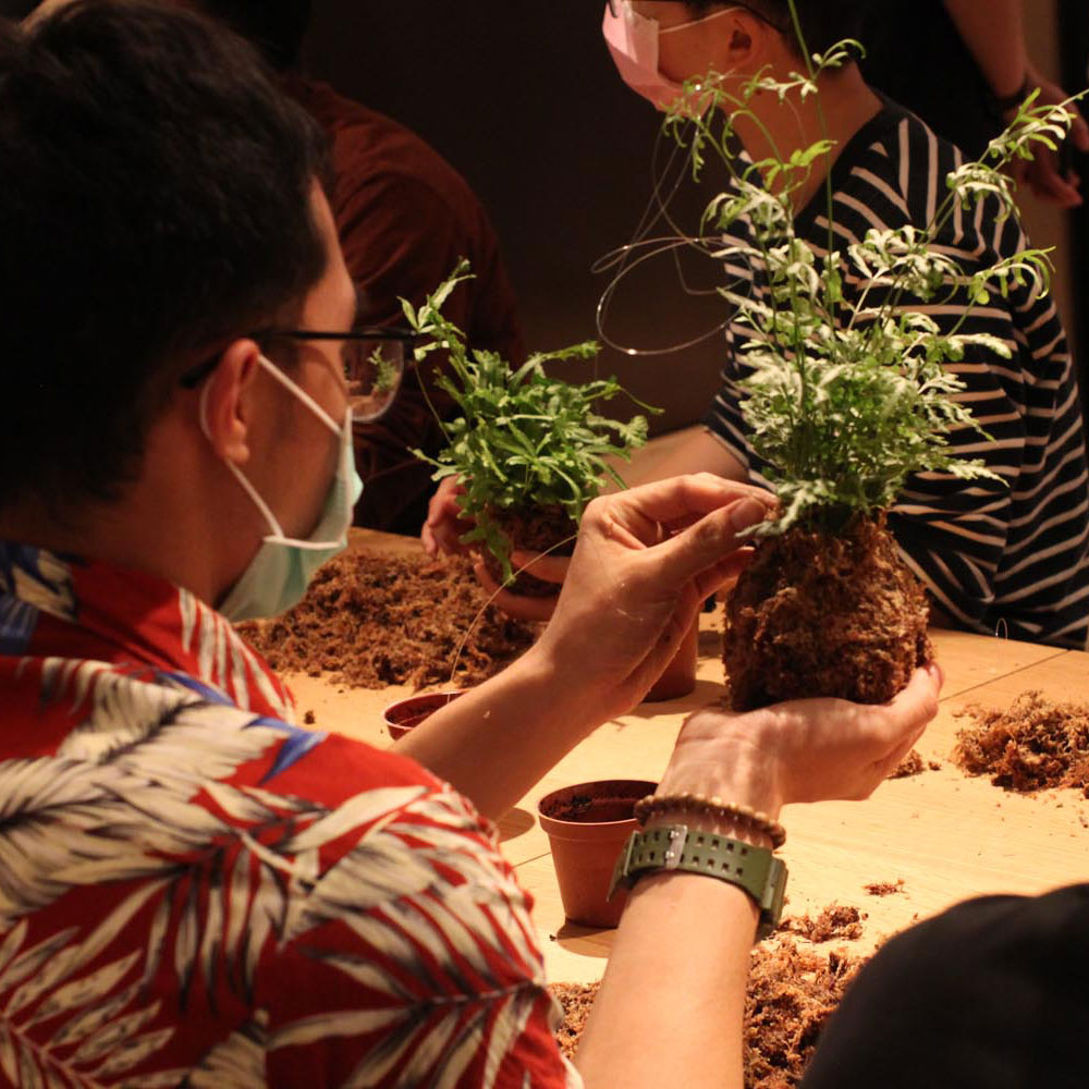 《植作工坊》動手做苔球佈置