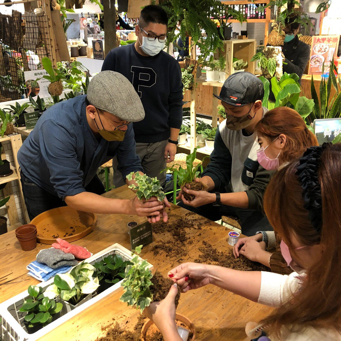 《植作工坊》動手做苔球佈置