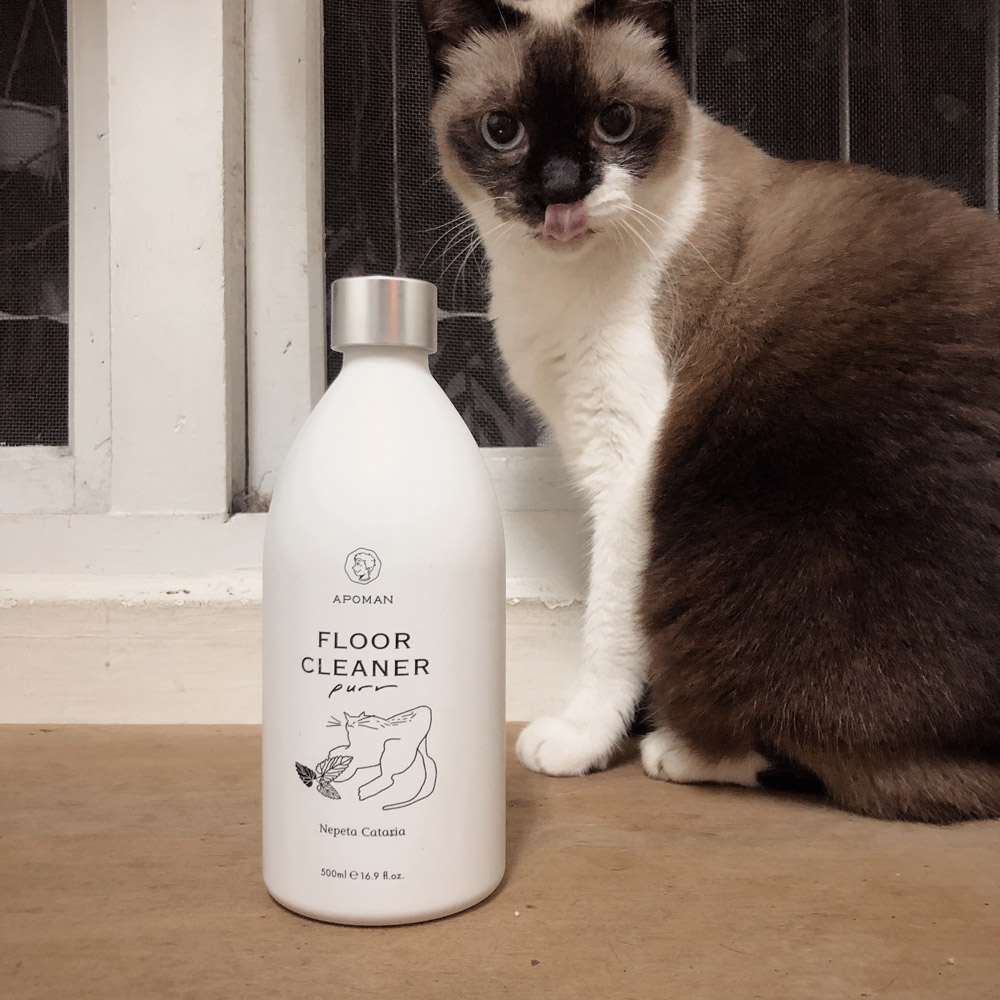 貓咪友善驅蟲少年地板清潔劑