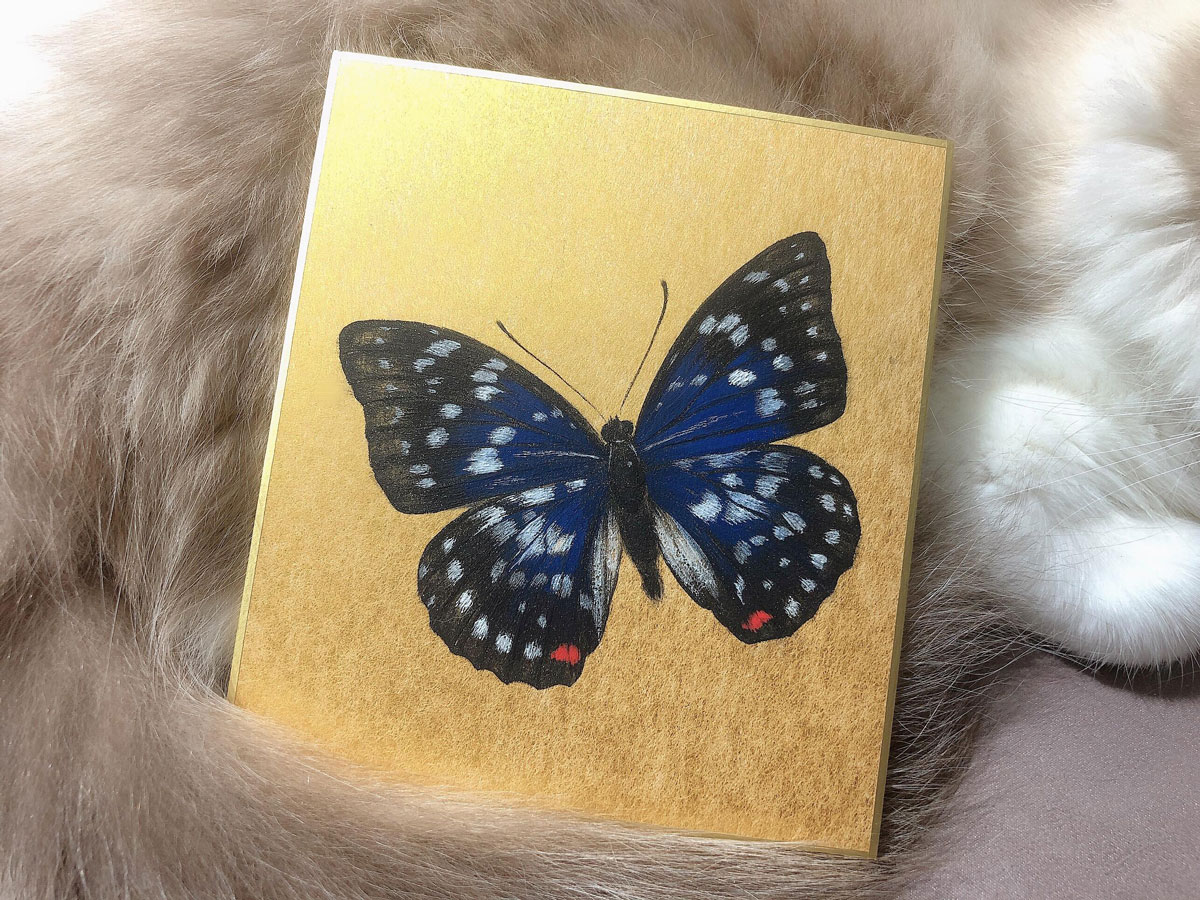 膠彩體驗課程-陳珮怡。岩彩畫大紫峽蝶