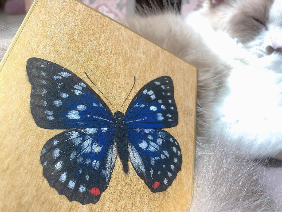 膠彩體驗課程-陳珮怡。岩彩畫大紫峽蝶