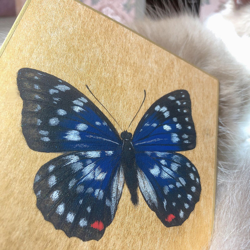 【方間工藝體驗課】陳珮怡・岩彩畫大紫峽蝶