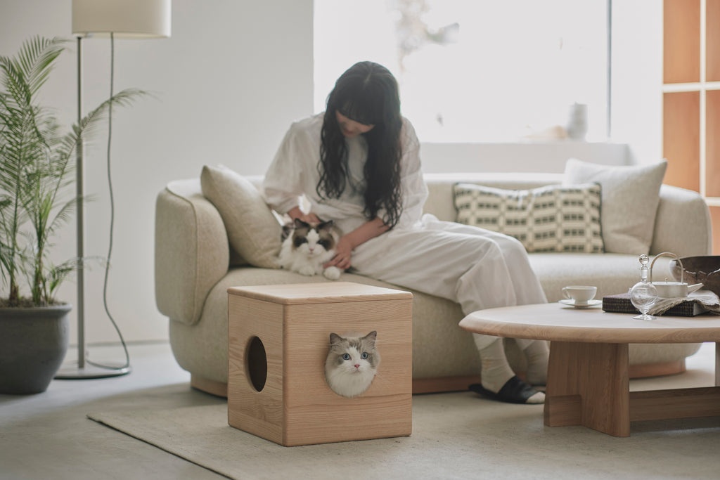 karimoku cat 臺灣