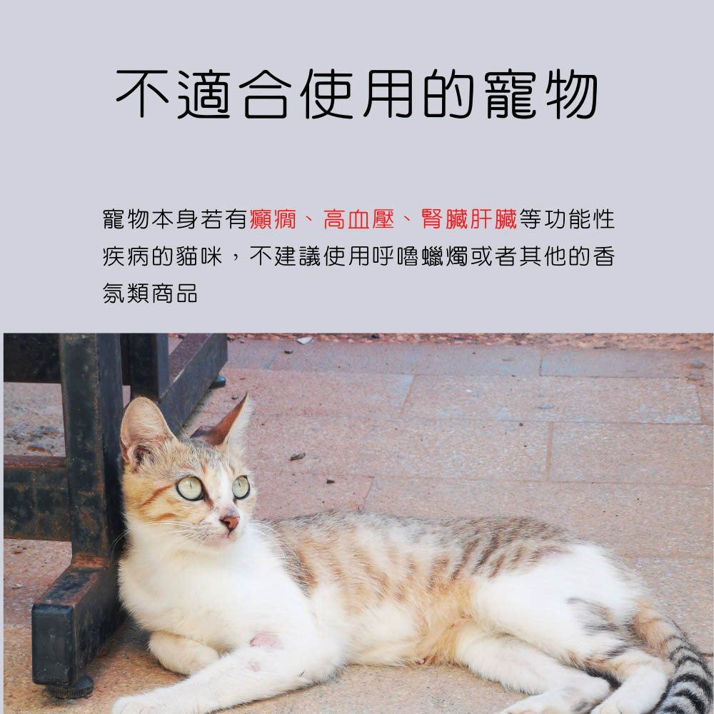 Catholic 寵物友善呼嚕蠟燭