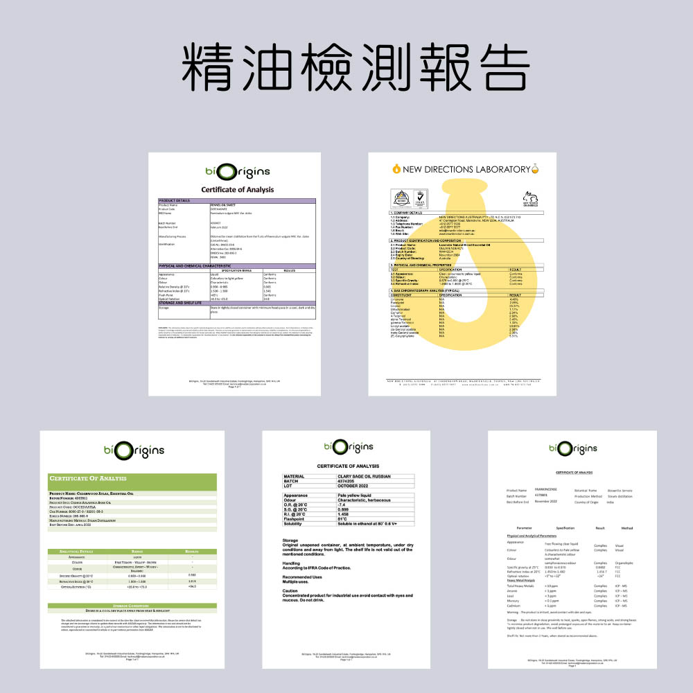 Catholic 寵物友善呼嚕蠟燭