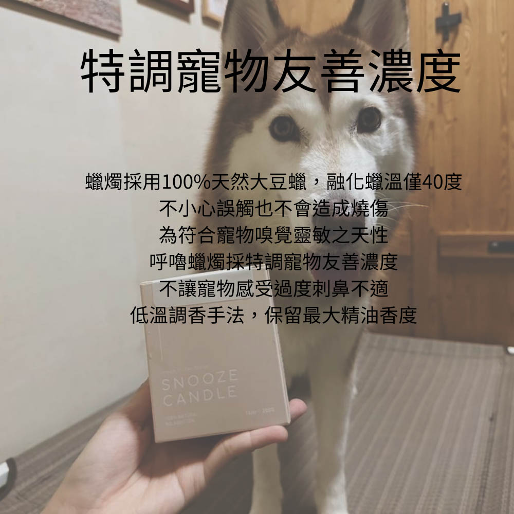 Catholic 寵物友善呼嚕蠟燭